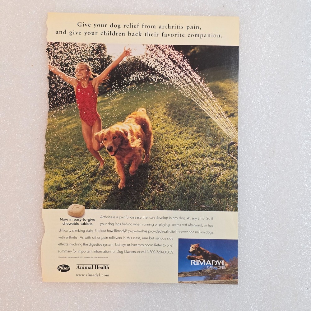 Vintage 2000 Rimadyl Print Ad Golden Retriever Dog Girl Water Sprinkler 8x10.5